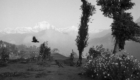 Nepal 1992